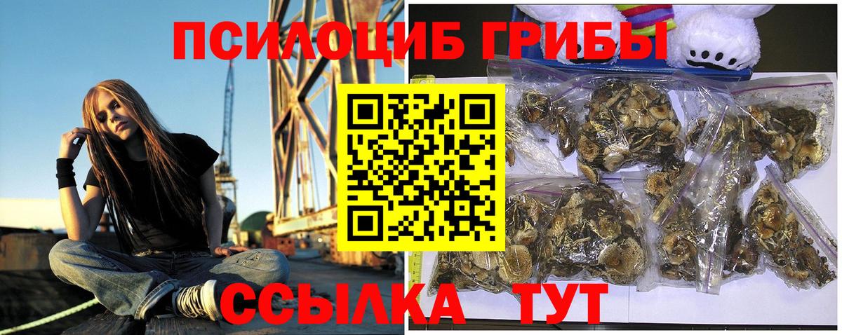 Галлюциногенные грибы мицелий  магазин    Вичуга  Вход с VPN 